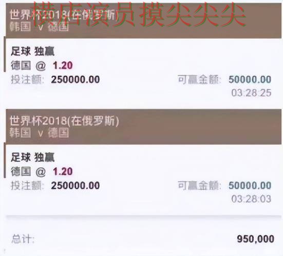新手必看：世界杯投注平台真实体验+直播详解 + 2026世界杯